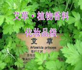 艾草香精 植物香薰灯炉空气净化精油 室内卫生房间驱蚊香粉末香料