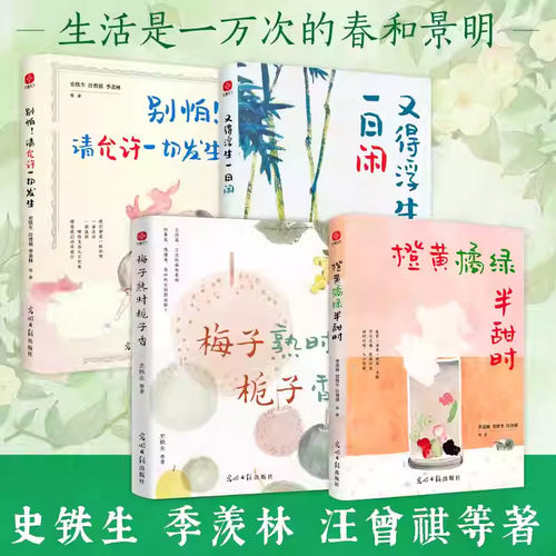 梅子熟时栀子香畅销文学小说推荐