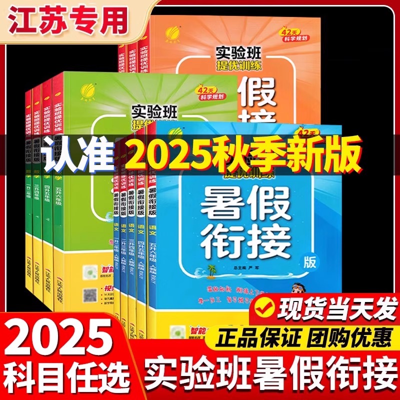 2025人教苏版实验班提优训练