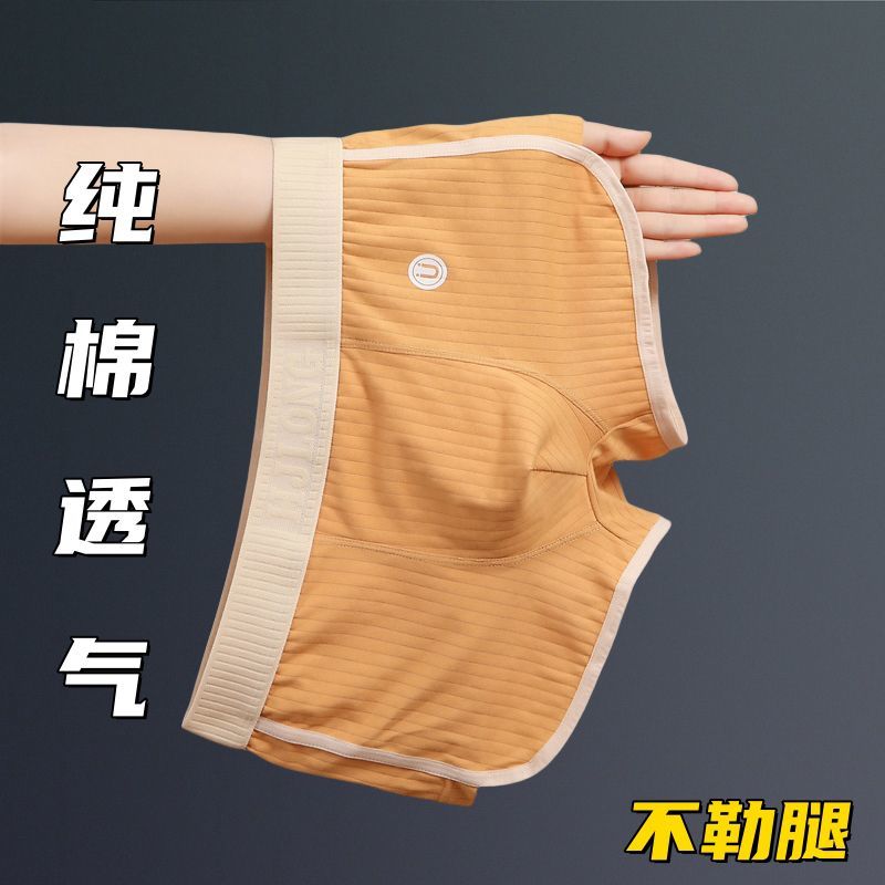 男款全棉潮流四角高档青年裤头