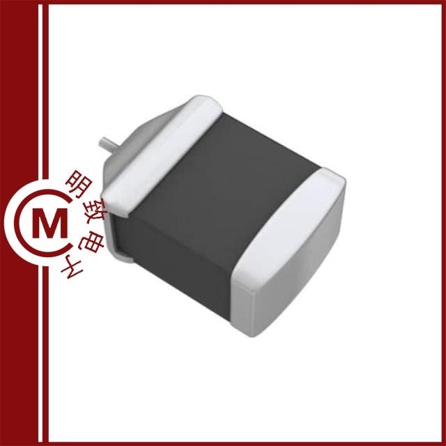 195D336X9016Z4T 195D336X9025R8T 195D336X9025R2T