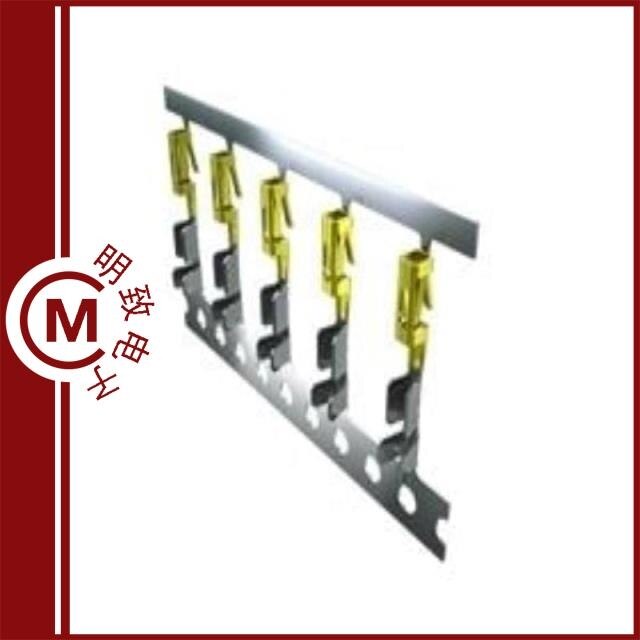 CC79R-2024-01-F/CC79R-2024-01-L/CC79R-2024-01-S