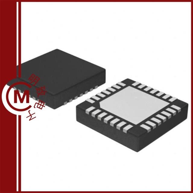 DSPIC33FJ06GS202A-I/MM/DSPIC33FJ06GS202A-I/SO