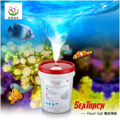 Seatorch  Reef salt礁岩海盐