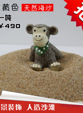 天然海沙金黄色儿童玩具沙池宝宝沙子造景装饰人造沙滩特价