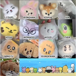 seventeen明星周边玩偶毛绒挂件钥匙扣miniteen韩国创意小挂链