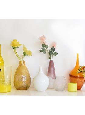 CH103玻璃花瓶摆件客厅插花装饰品轻奢高颜值家用C3