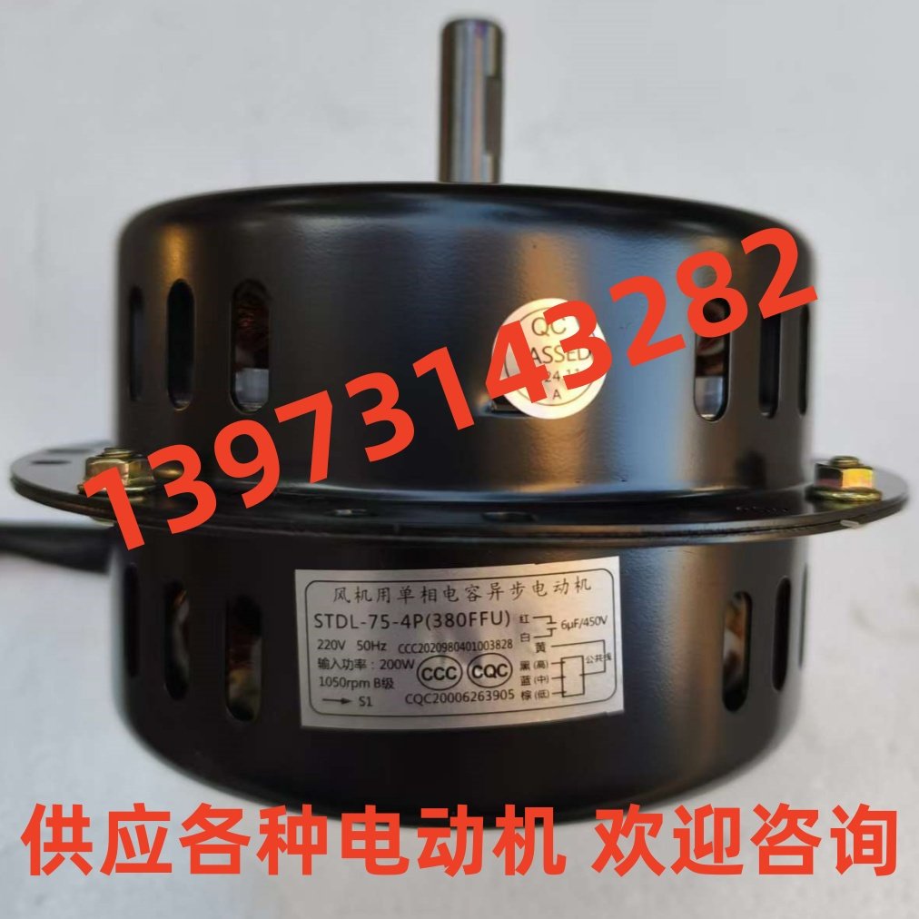 STDL-75-4P(380FFU)电容异步电机