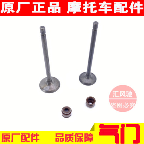 适用原厂豪爵摩托车新海王星UA125T-A-3天龙星UA150T气门油封气门