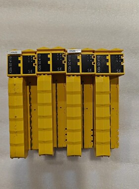 贝加莱X20cSO4110安全模块,奥地利原产,型号DD84