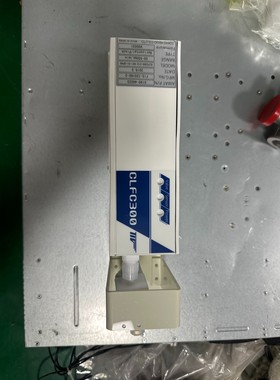 TOKYO KEISO东京计装CLFC300流量计,CLFC