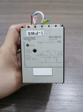 原装施勒 SCHIELE安全继电器 PS SYSTRON