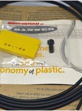 邦纳BANNER 光纤PBF46U TW-R30-M-B12