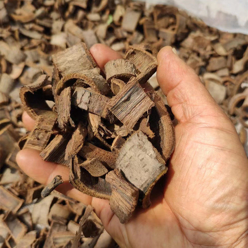 东北长白山百八十年山老核桃树根皮干楸树根皮30年天然秋树根皮