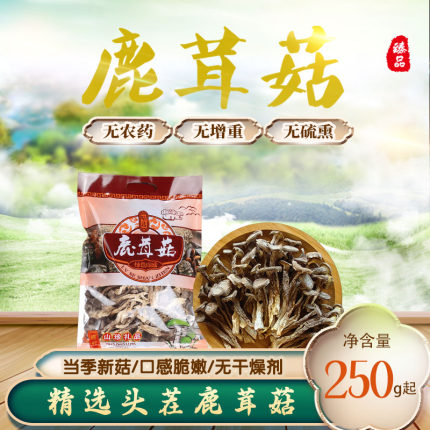 东北长白山特产鹿茸菇500g非野生菌类新鲜干货蘑菇无添加营养煲汤
