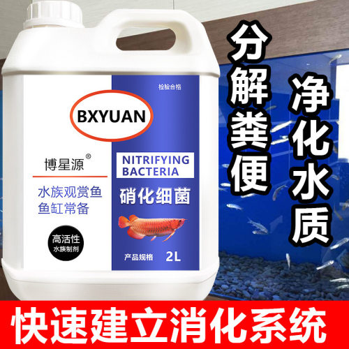 水族硝化活菌鱼缸硝化细菌鱼缸用消化菌净水剂水质稳定剂养鱼用品
