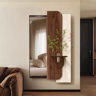 镜子推拉古风画卧室暗藏入户式装饰水培穿衣镜全身镜玄关中可绿植