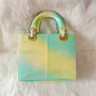 D家秋冬美物新品 气渐变奢华天然蛇皮女包单肩包小号斜挎 超美元