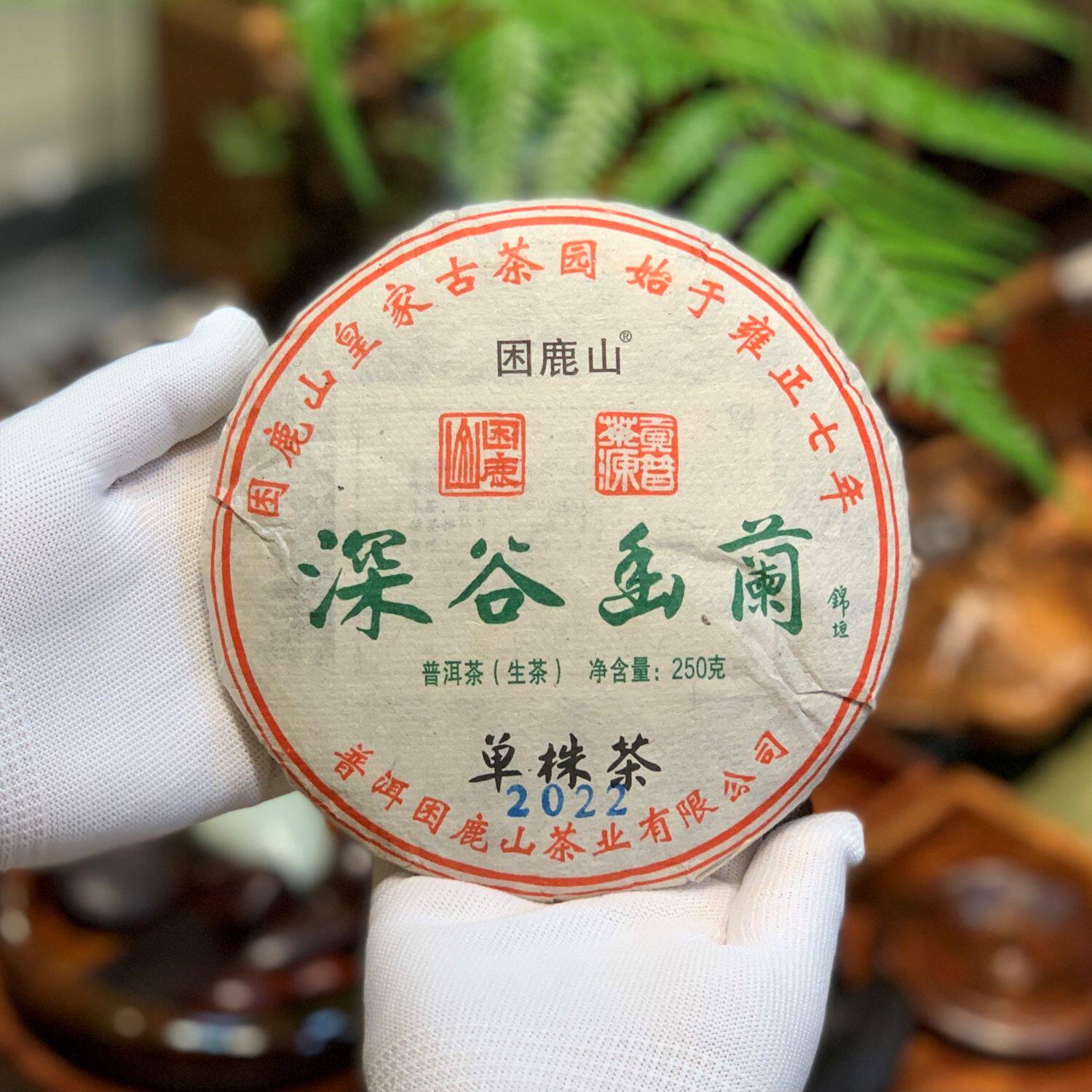 困鹿山 古树单株 2022云南年深谷幽兰  皇家茶园