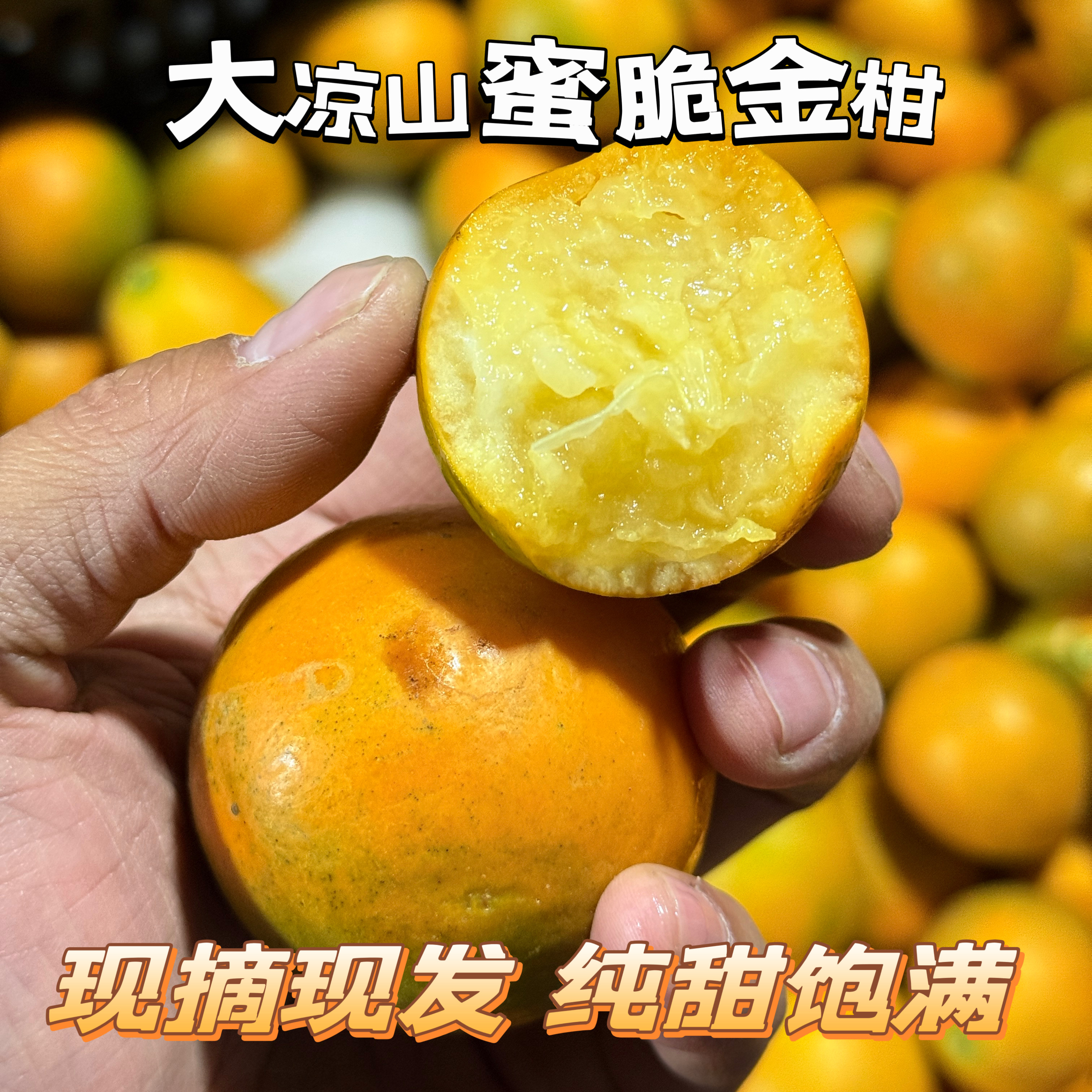 大凉山脆蜜金柑金桔果肉绵密无籽糖心金桔当季新鲜采摘水果发顺丰,水产肉类/新鲜蔬果/熟食,桔子,淘宝优惠券,粉丝福利购,淘宝优惠卷