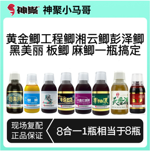 山西神聚鲫鱼抢鱼工程鲫黄金鲫彭泽鲫湘云鲫麻鲫一瓶搞定