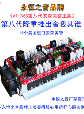 永恒之音新升级A1第8代美国进口4281/4302偏甲类大功率HIFI功放板