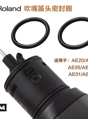 ROLAND罗兰AE20/AE30/AE05C/AE01C电吹管笛头吹嘴密封圈 进口加厚