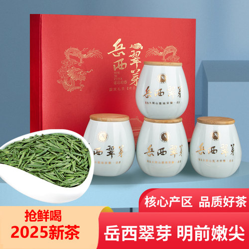 2026明前新茶岳西翠芽翠兰翠尖绿茶300g高端礼盒装春茶叶高山云雾