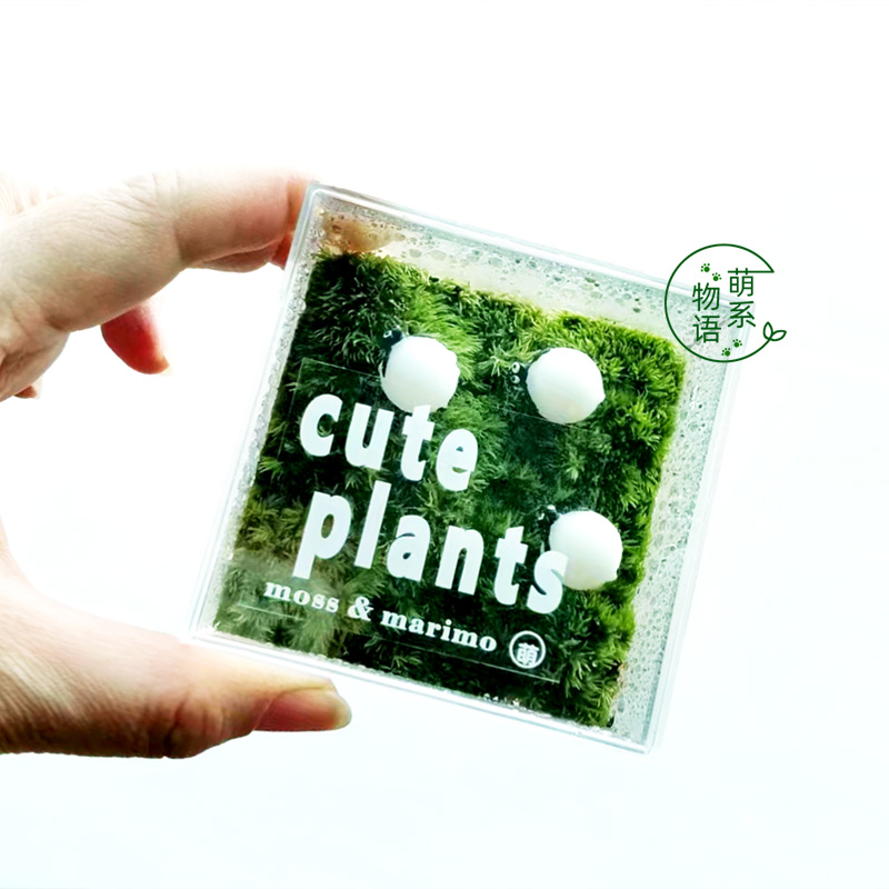 萌系物语私人小草坪小众情绪稳定