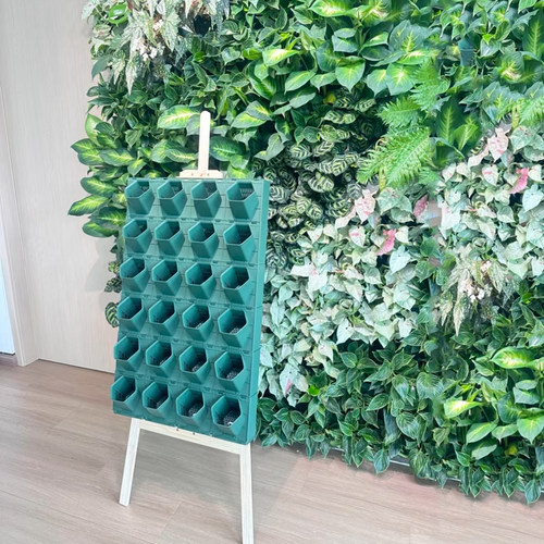 四孔种菜种花种植盒花盆户外工程室内绿化壁挂植物墙鸭脚4-5-6个
