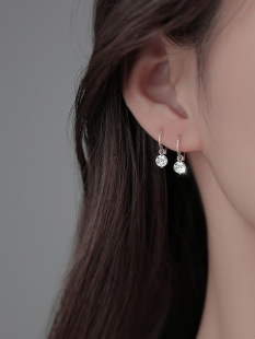 925纯银闪钻耳圈小众耳钉2021年新款 耳饰女 潮耳环夏季