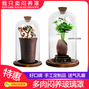 ins万象玉露植物闷养玻璃罩家居多肉小温棚带气孔塞柱形瓶 定制品