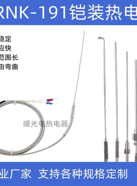 K型铠装热电偶WRNK-191针型热电偶探针式温度传感器可弯曲PT100/E