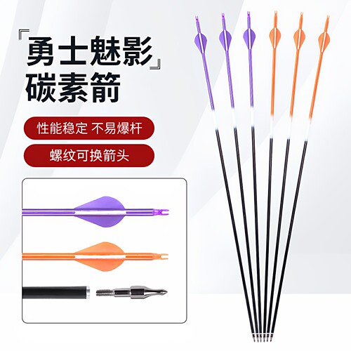 弓箭射箭纯碳素箭支通用比赛竞技