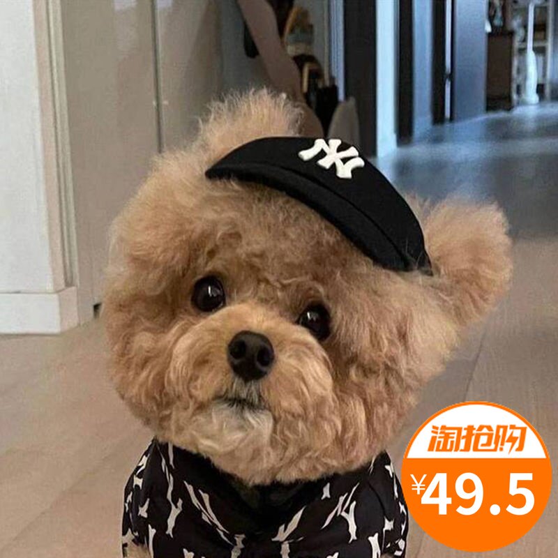 狗狗帽子小型犬价格 狗狗帽子小型犬图片 星期三