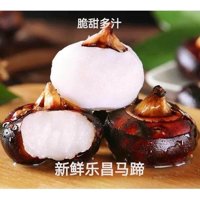 正宗乐昌北乡马蹄荸荠新鲜水果蔬菜当季现挖桂花马蹄莲脆地栗梨
