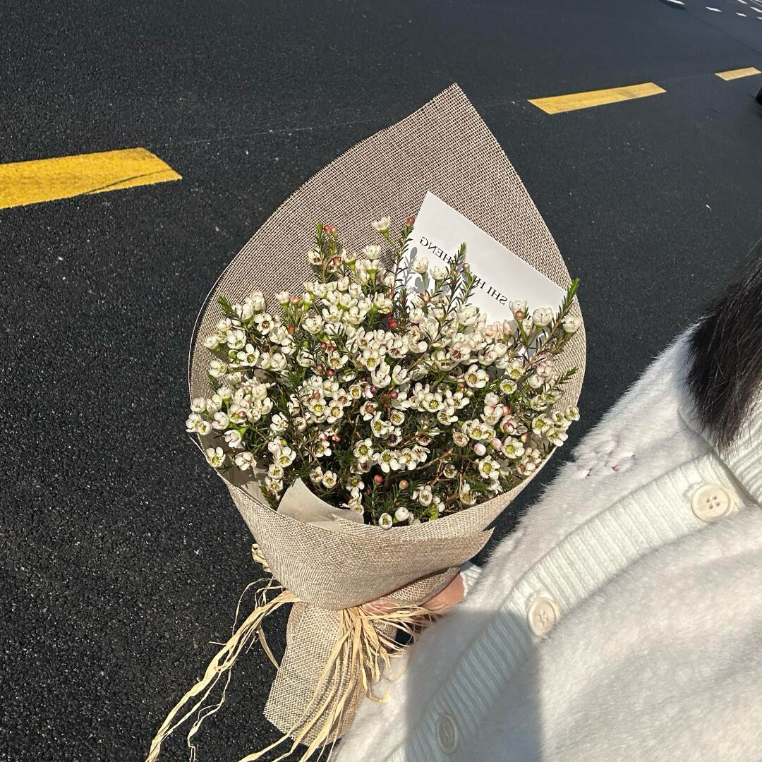 青栲子《我会永远守护你》白色澳梅花束北京上海成都鲜花同城配送