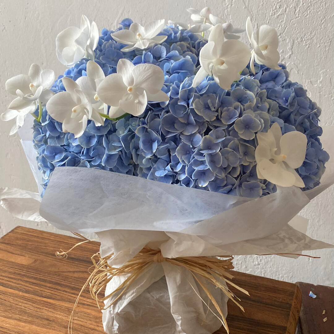 青栲子《冰川蓝》进口孔雀绣球花束北京上海深圳重庆成都鲜花同城