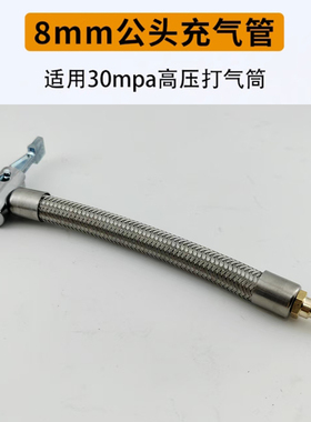 高压打气筒配件大全小车专用接头8mm母头30mpa自行车法嘴转换头