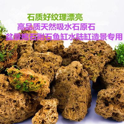 天然吸水石假山盆景菖蒲