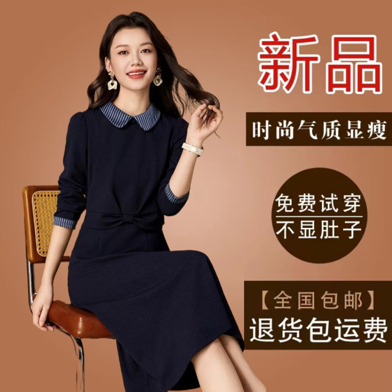高级感广州十三行妈妈款连衣裙秋季新款长袖气质修身显瘦打底裙子图片