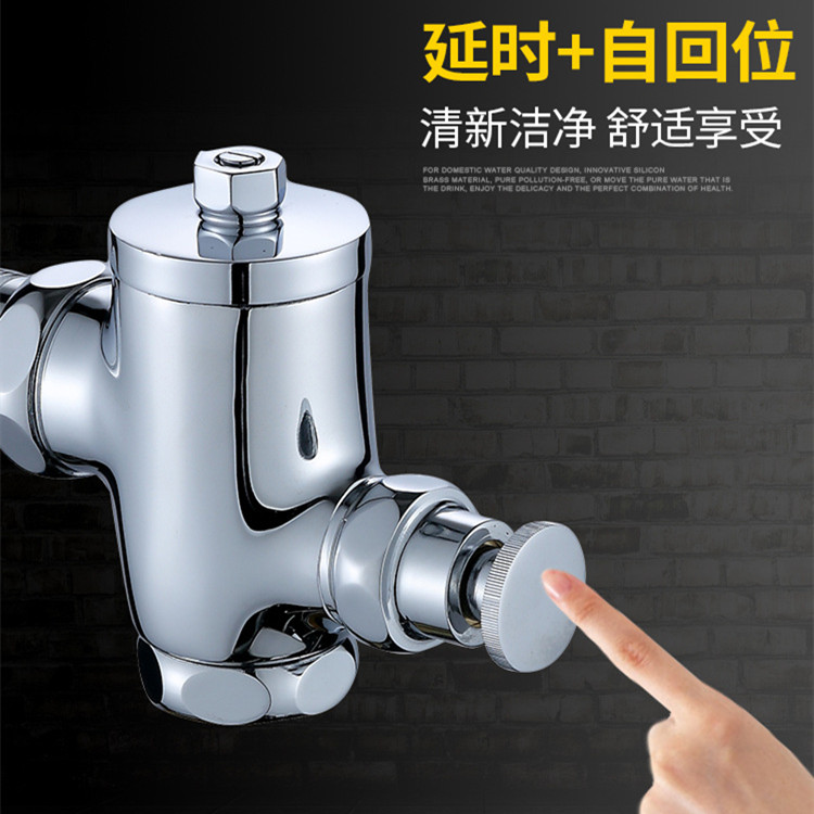 卫生间手按式蹲便器脚踏阀脚踩延时大便冲洗阀 入墙式厕所冲水阀