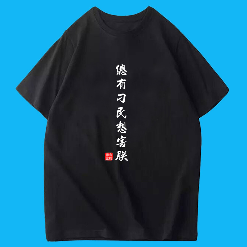 新款总有刁民想害朕男女学生个性半袖衣服创意文字潮纯棉短袖T恤