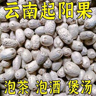 云南少民特产起阳果大果晒干煲汤泡酒正宗正阳果