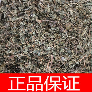 铜锤玉带草 中药材 铜锤玉带草 地茄子草 地浮萍 马莲草正品包邮