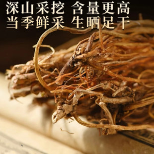 【龙胆根】云南高山野采龙胆草根整颗晒干