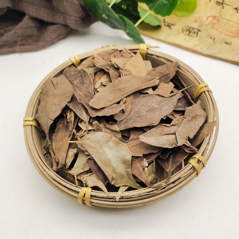 中药材榕树叶小榕叶小叶榕干榕树叶子落地金钱正品包邮