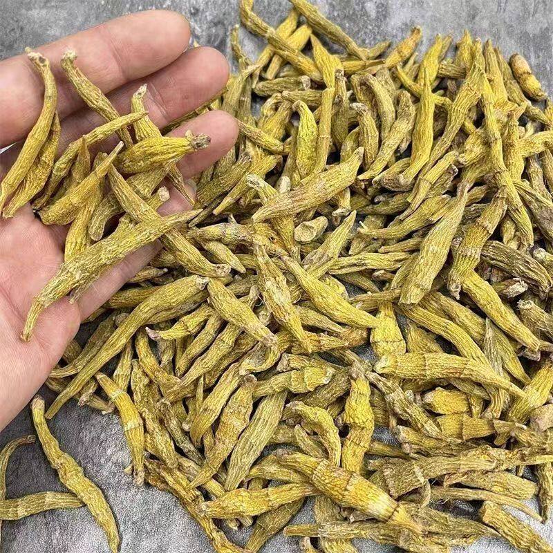 【虎牙石斛】云南边境石斛胶质多