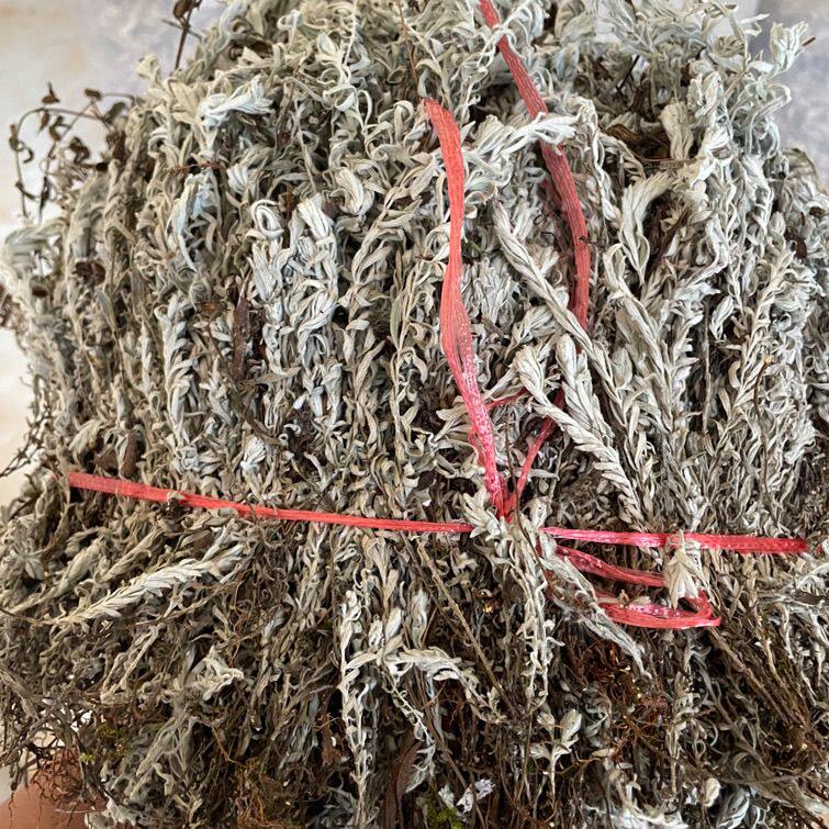 鹿茸草 六月霜 千年艾 千重塔白龙骨白地蜈蚣中草药