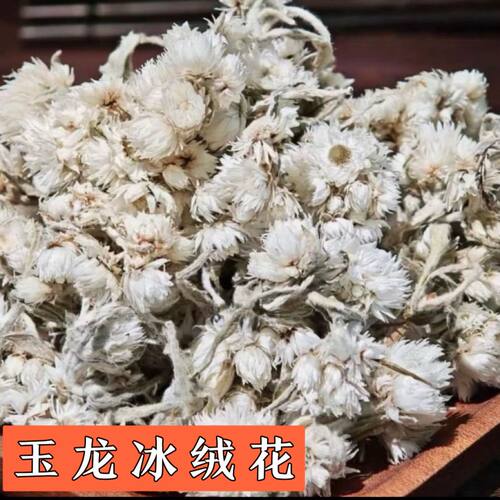 【头茬玉龙冰绒花】高海拔产区 冰川雪菊